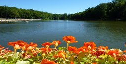 Site Touristique des Etangs des Moines &agrave; Fourmies